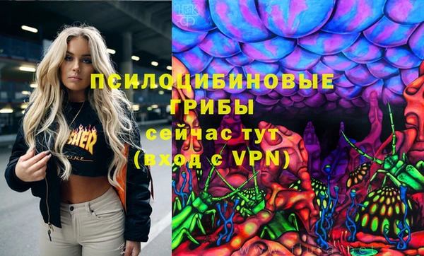 таблы Алзамай